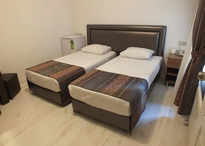 酒店 Ayyildizlar 伊斯坦布尔