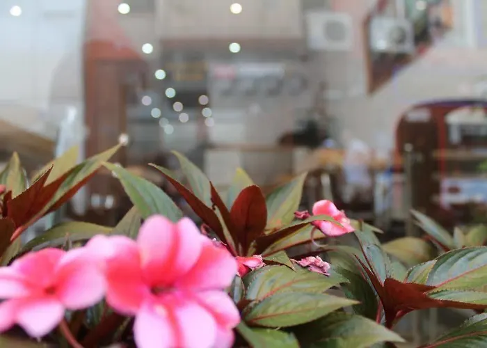 酒店 Ayyildizlar 伊斯坦布尔