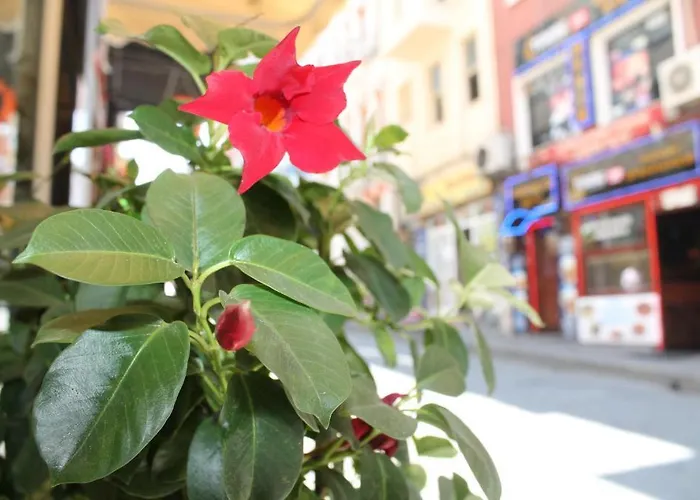 Ayyildizlar Hotel 4*