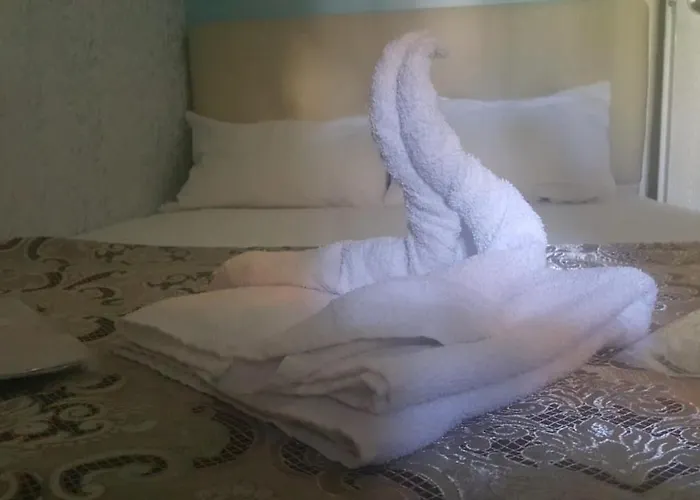 Hotell Ayyildizlar Istanbul