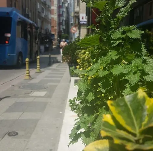 Ayyildizlar 4* Istanbul