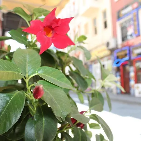 Ayyildizlar Hotel 4*