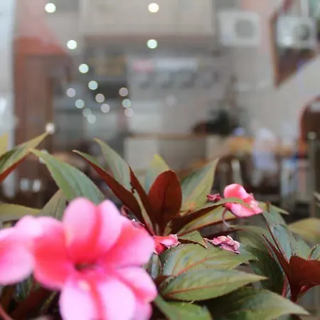 Hotel Ayyildizlar Provincia di Istanbul